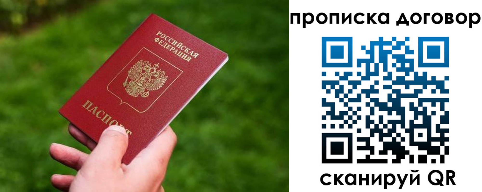 прописка гарантия в Михайловке